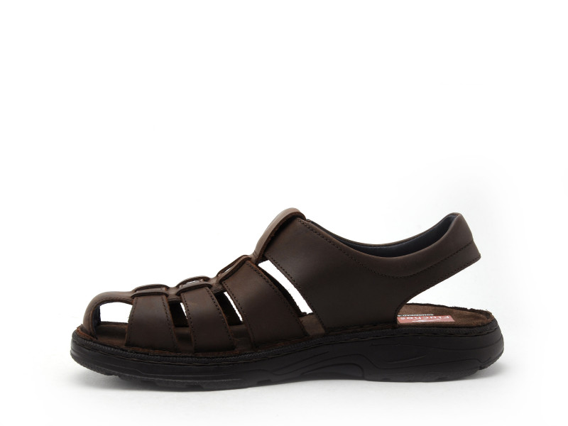 F2198 Marron