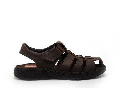 F2198 Marron