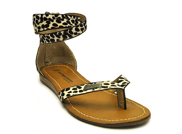 nu pied leopard